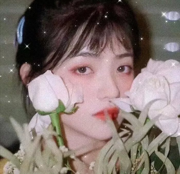 喵星人的奇思妙想